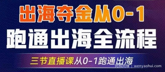 2025出海夺金从0-1跑通出海全流程，三节直播课从0-1跑通出海，教你用AI跑通全流程