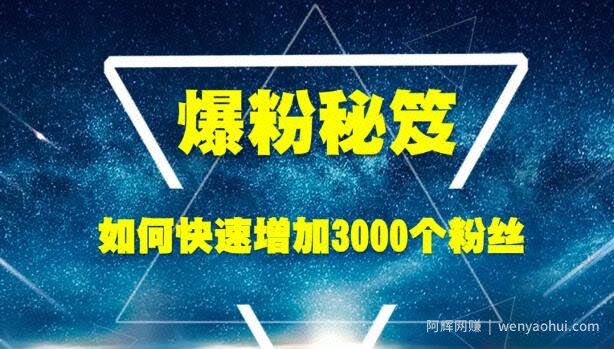 王通《爆粉秘笈》如何快速增加3000个精准粉丝