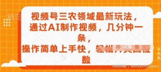 视频号三农领域最新玩法，通过AI制作视频，几分钟一条，操作简单上手快
