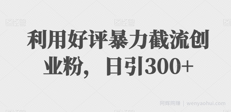 利用好评暴力截流创业粉，日引300+