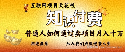 互联网项目天花板，知付付费项目，普通人如何通过卖项目月入十个，拒绝韭菜【揭秘】