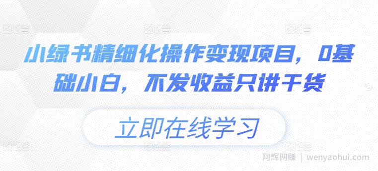 小绿书精细化操作变现项目，0基础小白，不发收益只讲干货