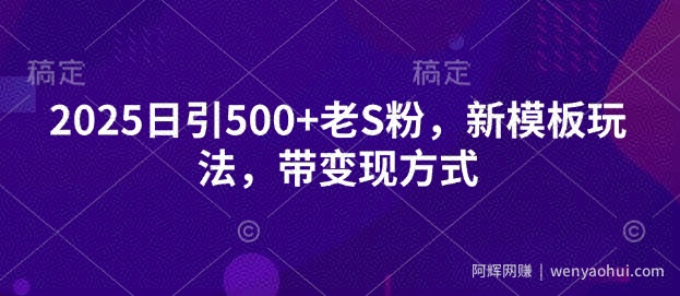 2025日引500+老S粉，新模板玩法，带变现方式