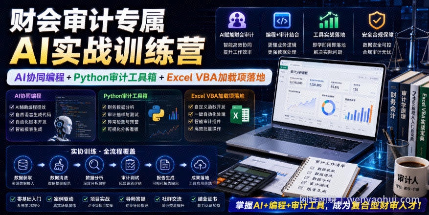 财会审计专属AI实战训练营｜AI协同编程+Python审计工具箱+Excel VBA加载项落地（更新0710）