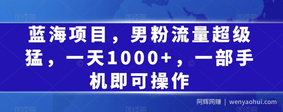 蓝海项目，男粉流量超级猛，一天1000+，一部手机即可操作【揭秘】