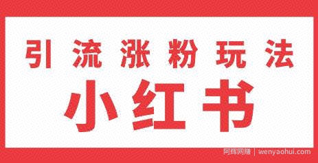 雨果：不用写文章，不用拍照片，小红书另类引流涨粉玩法（视频课程）