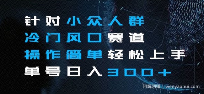 针对小众人群冷门风口赛道，操作简单轻松上手单号日入300+