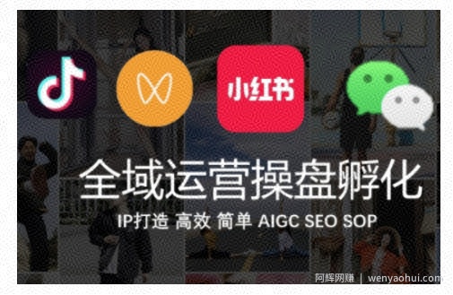 全域运营操盘(抖音+私域+小红书)，IP打造高效简单