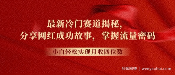 最新冷门赛道揭秘，分享网红成功故事，小白轻松掌握流量密码
