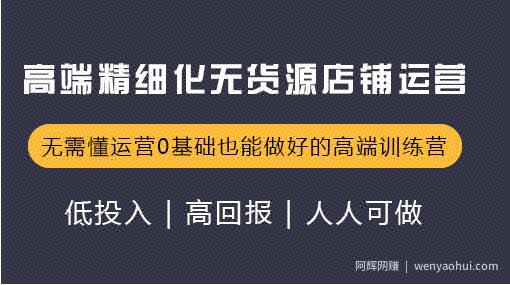 炜达内训课，高端精细化无货源店群店铺运营（价值12800）