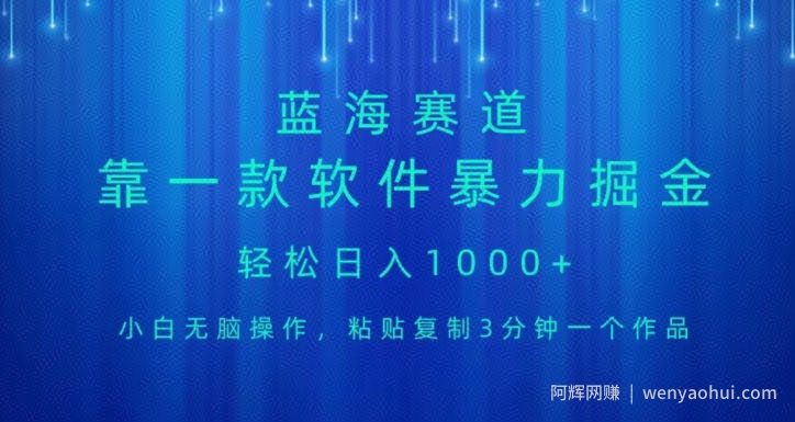 蓝海项目，靠一款软件，暴力掘金日入1000+，小白无脑操作