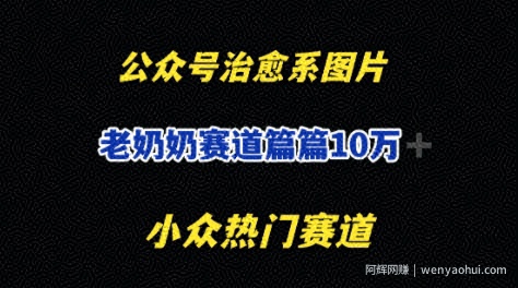 公众号老奶奶治愈系流量主，篇篇10W+