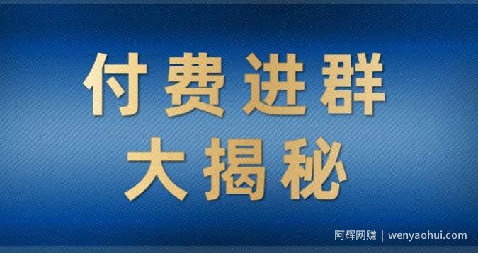 付费进群大揭秘，零基础也轻松日入500+，学会后玩转市面上50%以上的项目