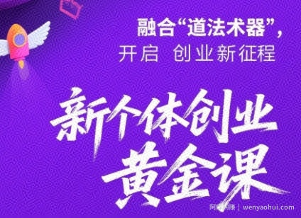 新个体创业黄金课：道法术器四维抢占2025红利