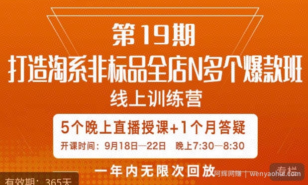 打造淘系非标全店N多个爆款线上课，​5天直播课