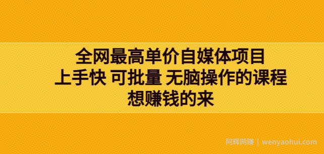 网最单高价自媒体项目：上手快可批量无脑操作的课程，想賺米的来