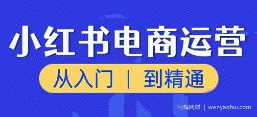 小红书电商运营课，从入门到精通，带你抓住又一个賺米风口