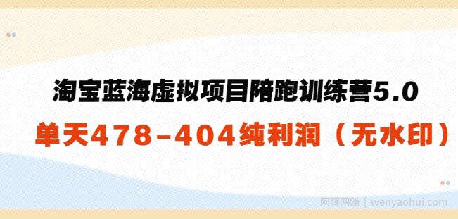 黄岛主：淘宝蓝海虚拟项目陪跑训练营5.0：单天478纯利润（无水印）