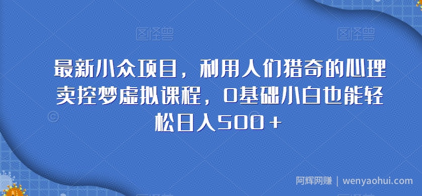 最新小众项目，利用人们猎奇的心理卖控梦虚拟课程，0基础小白也能轻松日入500＋