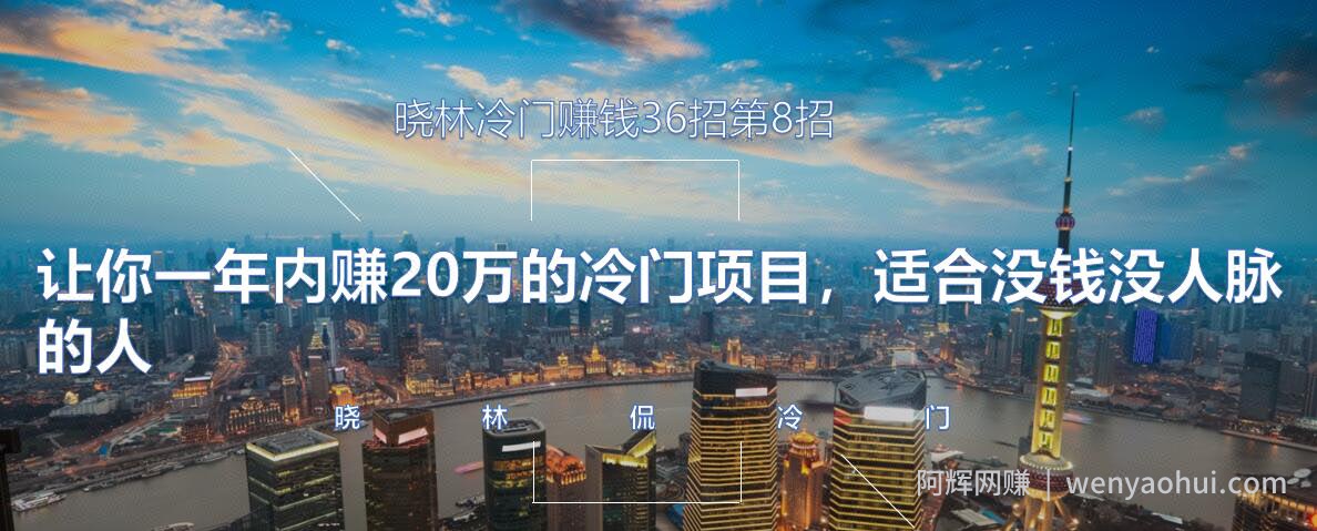 晓林冷门賺米36招第8招年赚20万的冷门项目，适合没钱没人脉的人【视频课程】