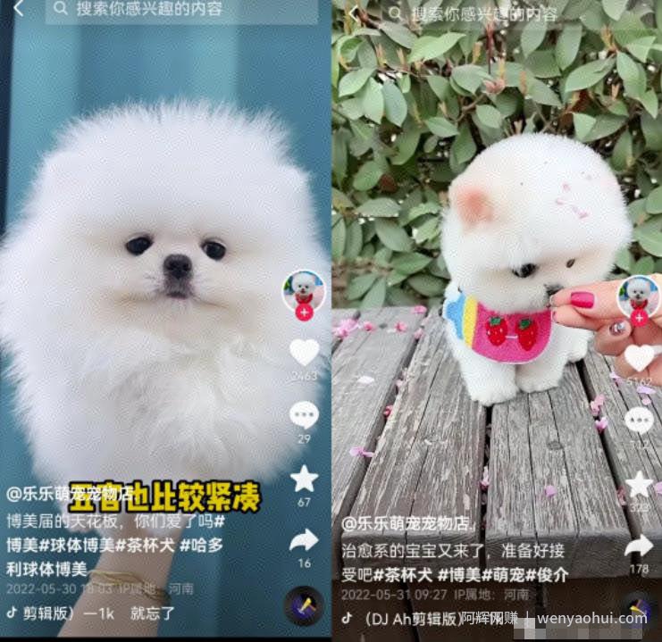 无脑短视频搬砖賺米思路，轻松月入1W+，在家即可躺赚！