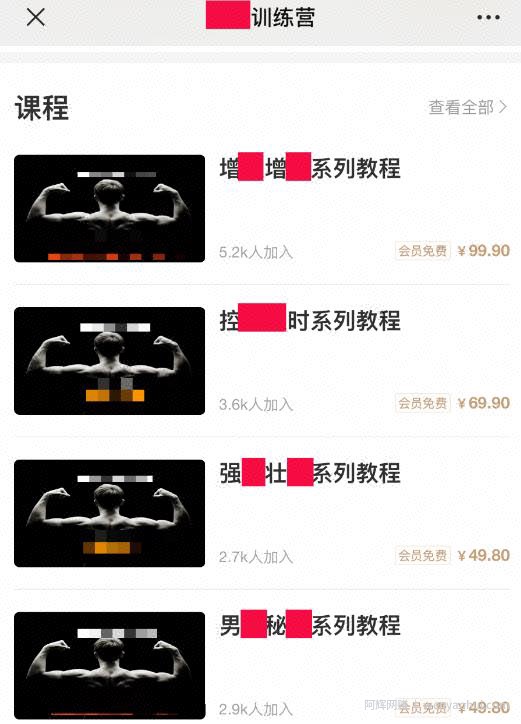 男性项目年入300万，小众市场，无本暴利【女生勿进】