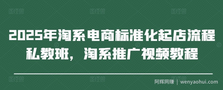 2025年淘系电商标准化起店流程私教班，淘系推广视频教程