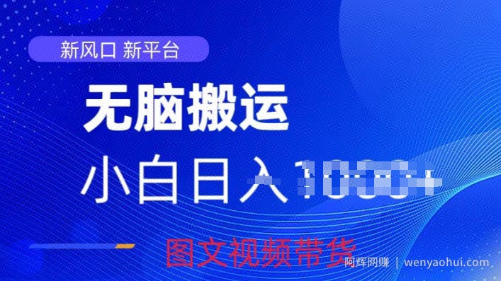 京东视频图文搬运带货项目，蓝海赛道小白轻松上手，每天一小时轻松获取收益