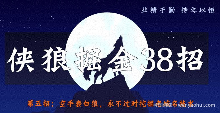侠狼掘金38招第5招空手套白狼，永不过时挖掘老域名技术【视频课程】