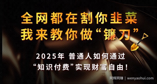 全网都在割你韭菜,我来教你做镰刀,2025年普通人如何通过 知识付费 实现财F自由【揭秘】