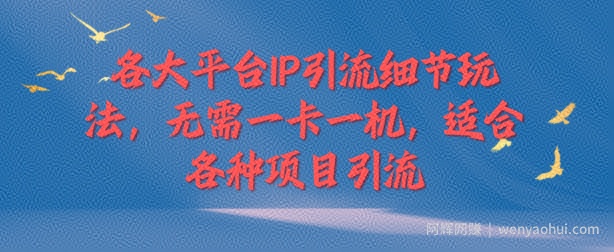 各大平台IP引流细节玩法，无需一卡一机，适合各种项目引流