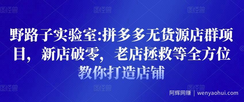 野路子实验室:拼多多无货源店群项目，新店破零，老店拯救等全方位教你打造店铺