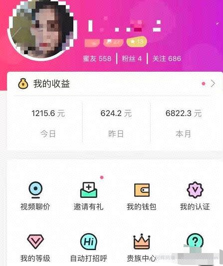 花了100块大洋套来的賺米项目-聊天賺米