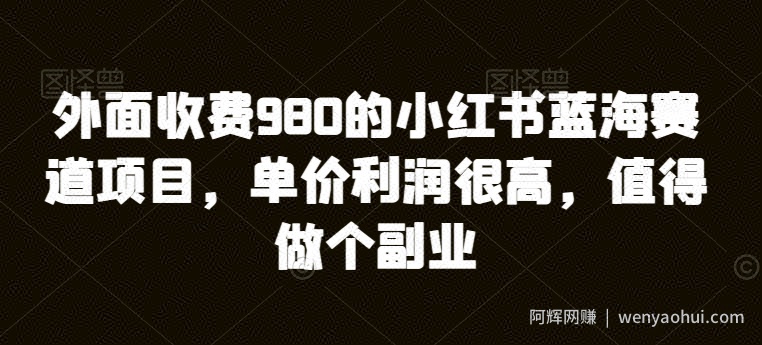 外面收费980的小红书蓝海赛道项目，单价利润很高，值得做个副业