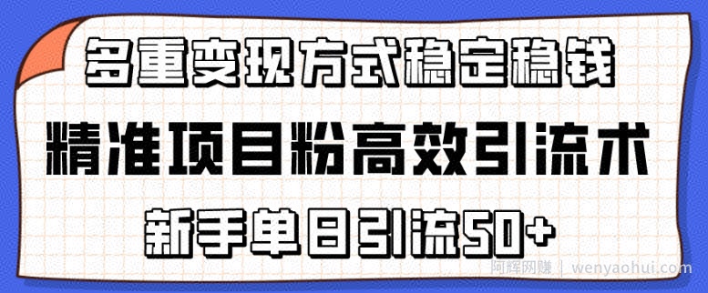 精准项目粉高效引流术，新手单日引流50+，多重变现方式稳定賺米【揭秘】