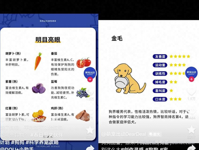 抖音种草号项目拆解：图文种草号实操教程分享，小白看完直接上手！