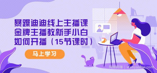 暴躁迪迪线上主播课，金牌主播教新手小白如何开播（15节课时）