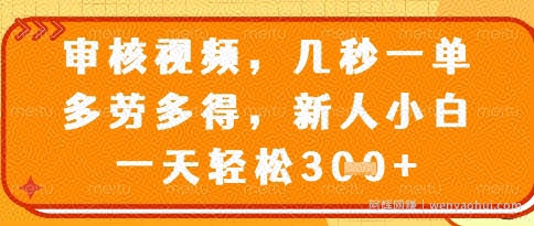 视频审核员，几秒一单，不限时间，不限地点，多做多得，新人小白一天轻松几张+【揭秘】