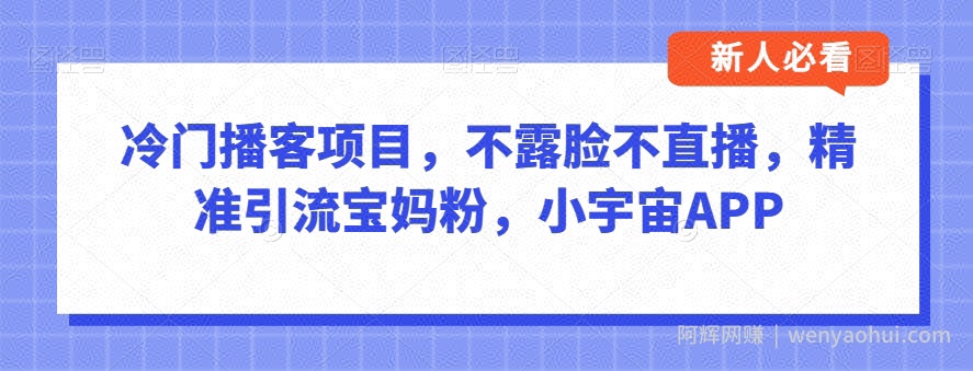 冷门播客项目，不露脸不直播，精准引流宝妈粉，小宇宙APP