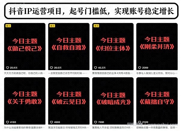 抖音IP运营项目，抖音今日主题玩法，起号门槛低，实现账号稳定增长