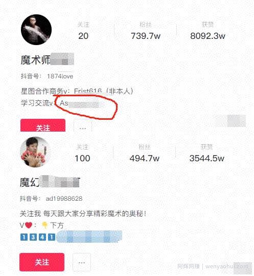 低调冷门项目魔术教学，低门槛变现能力强