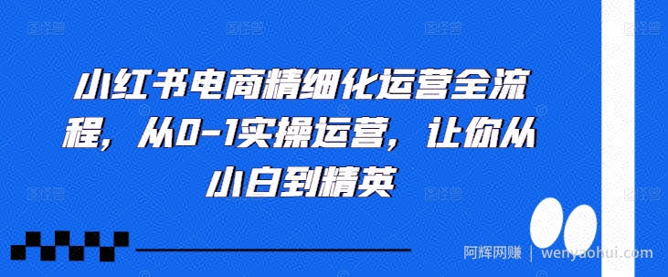小红书电商精细化运营全流程，从0-1实操运营，让你从小白到精英