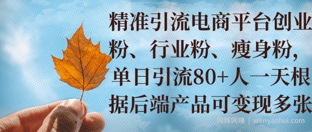小投入撬动大收益，精准引流创业粉、行业粉，单日引流80+，一天可变现多张