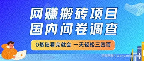 网创搬砖项目，国内问卷调查，小白轻松上手，一天三四张的也不难，干就完了【揭秘】