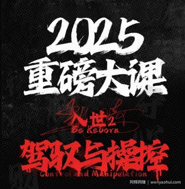 2025重磅大课，入世2，驾驭与控制