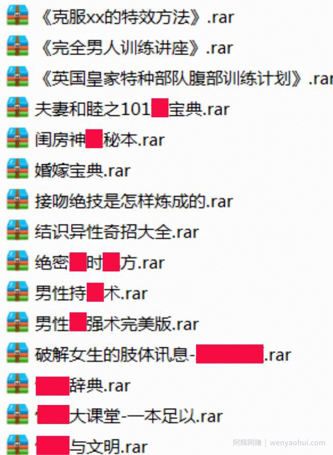 男性项目年入300万，小众市场，无本暴利【女生勿进】