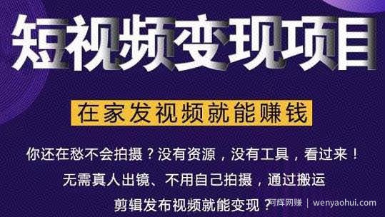 随风短视频变现项目：从0到1教你打造爆款短视频变现，在家发视频就能賺米