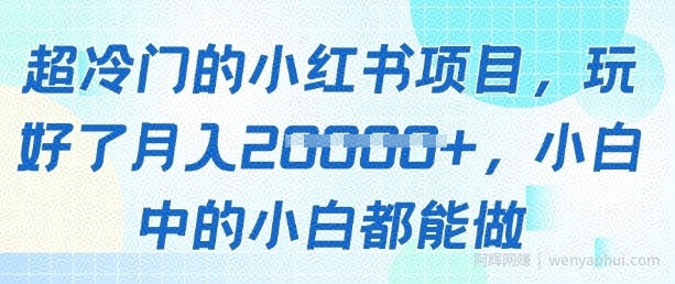 超冷门的小红书项目，玩好了月入过1w，小白中的小白都能做