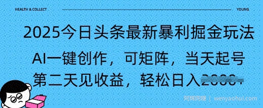 2025今日头条最新暴利掘金玩法，AI一键创作，可矩阵，当天起号，第二天见收益轻松日入多张