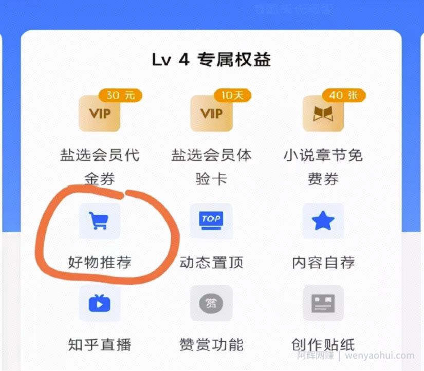 知乎好物项目，日赚300全攻略，新人必看！